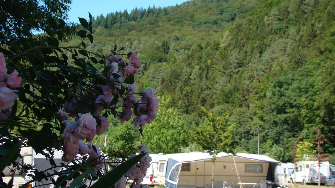Camping Wies-Neu Dillingen Esterno foto